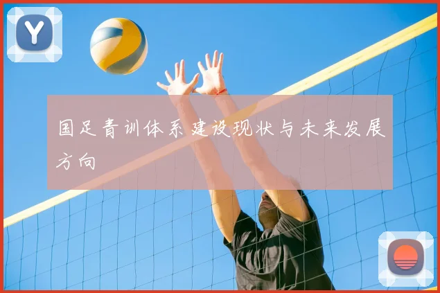 国足青训体系建设现状与未来发展方向