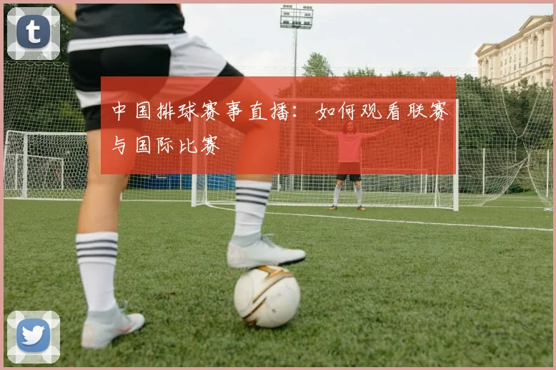 中国排球赛事直播：如何观看联赛与国际比赛