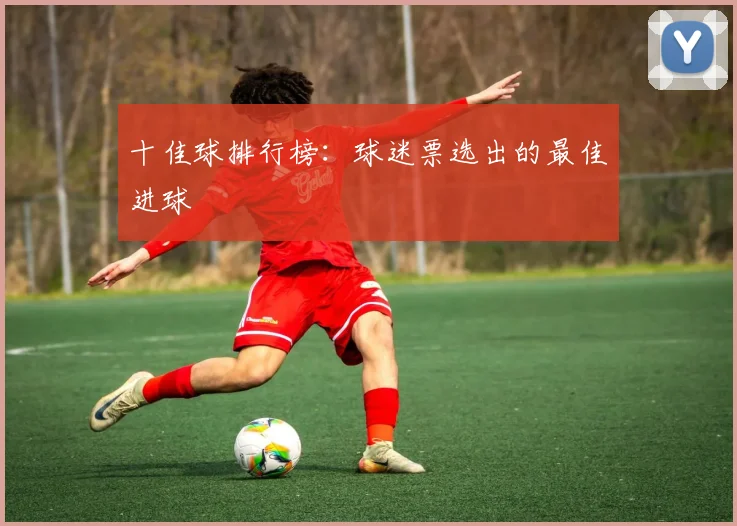 十佳球排行榜：球迷票选出的最佳进球