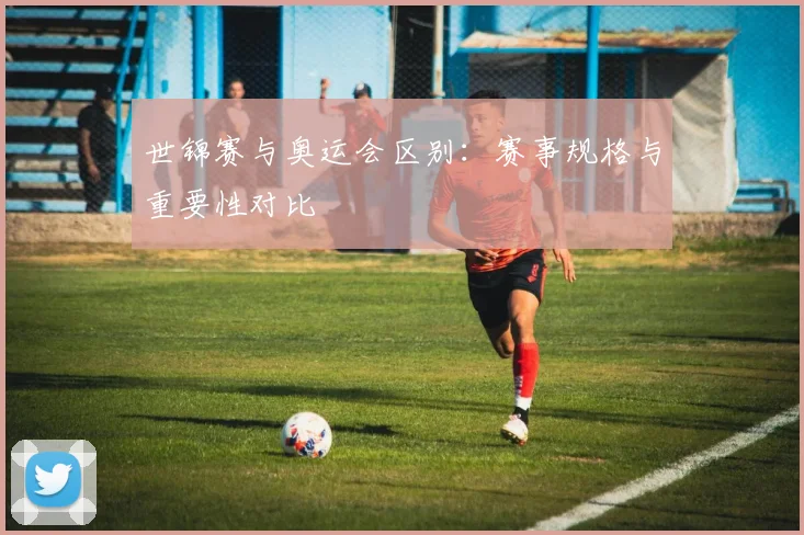 世锦赛与奥运会区别:赛事规格与重要性对比